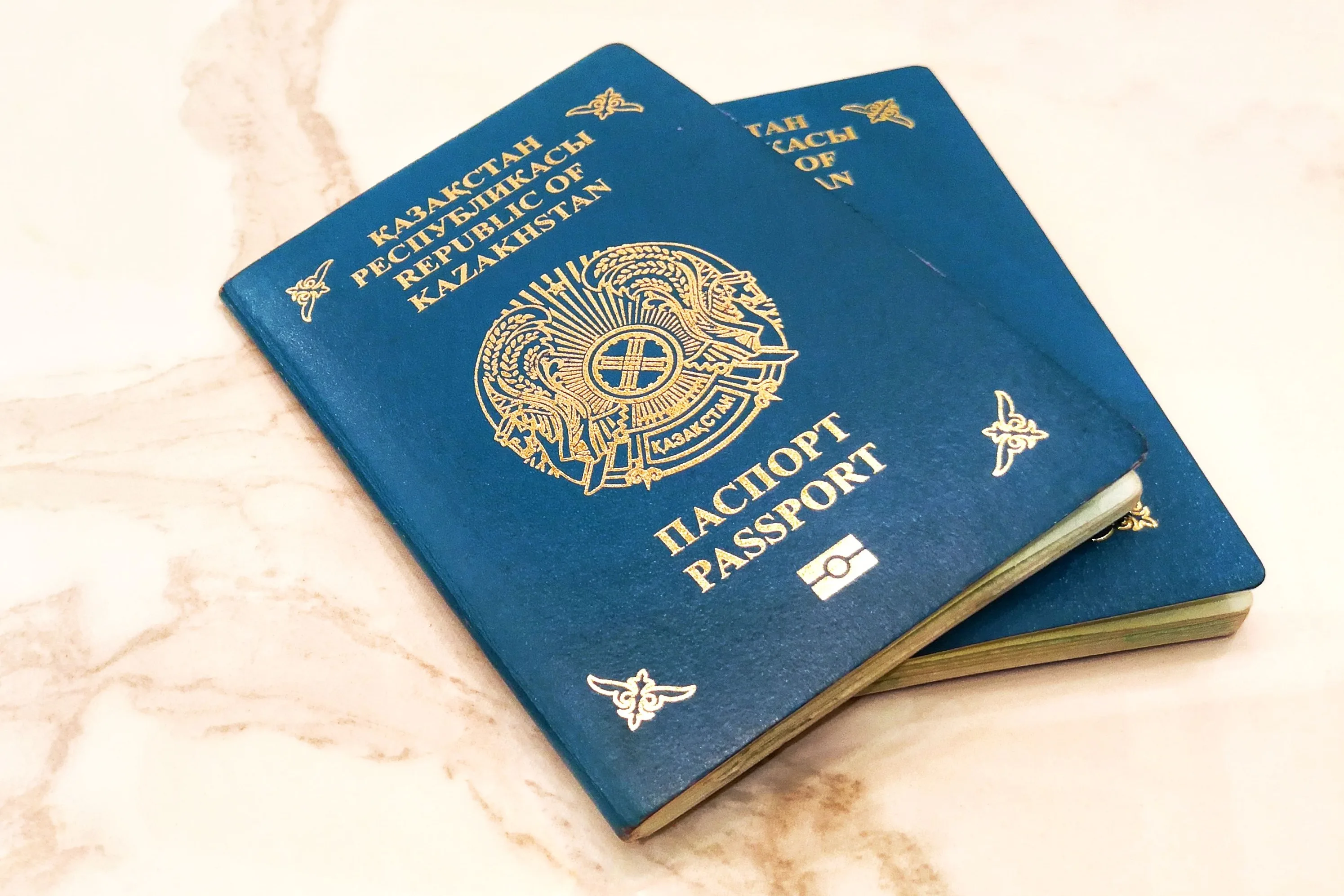 Как получить гражданство казахстана 2024